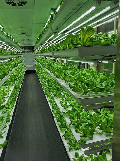 J9游戏(中国)-官方网站